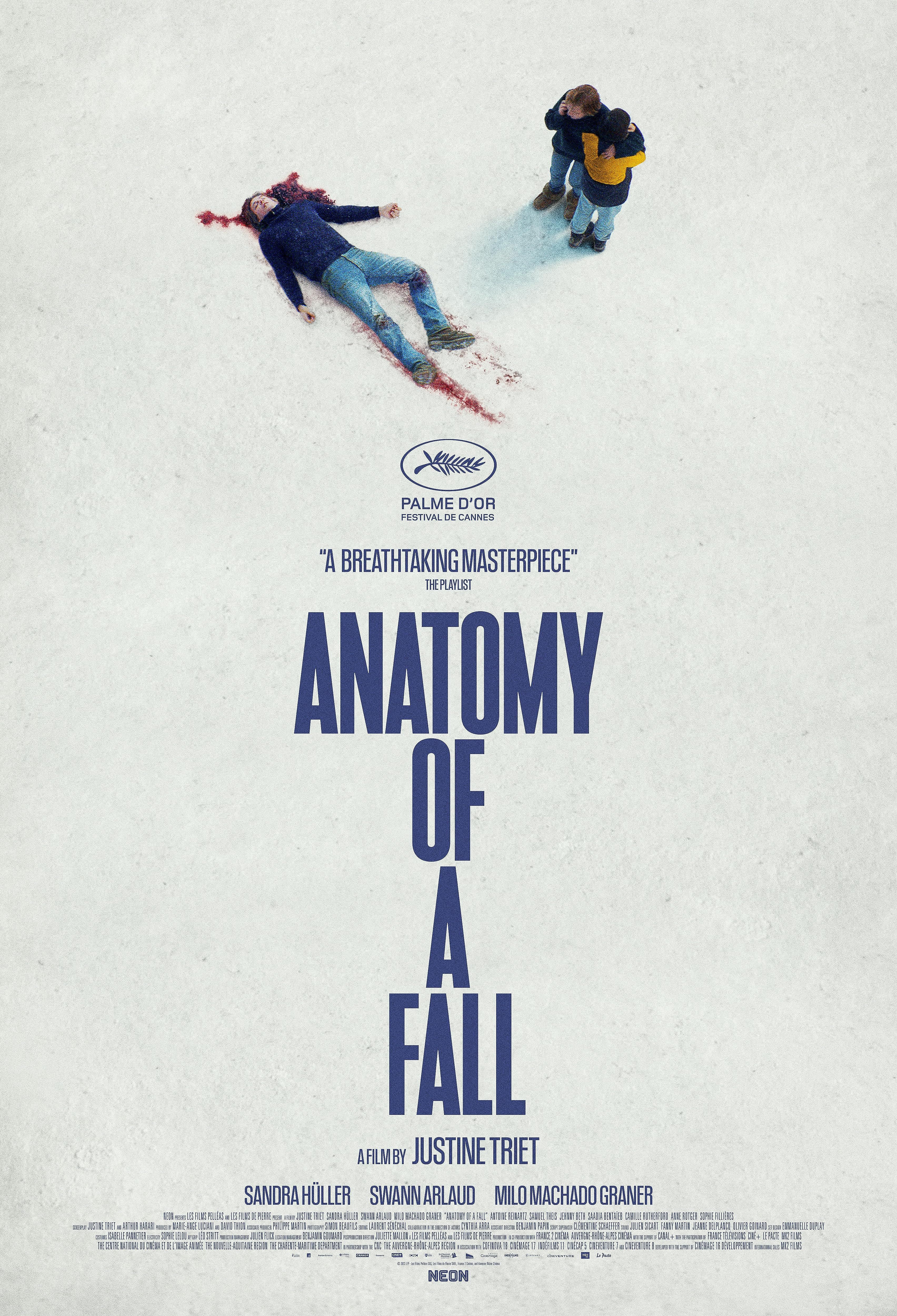 Anatomy of a Fall (2023) Hindi Dubbed ORG BluRay Full Movie 720p 480p