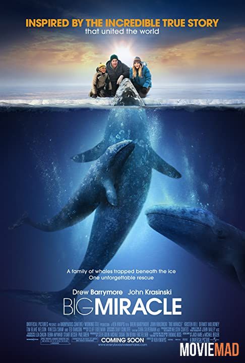 Big Miracle (2012) Hindi Dubbed ORG BluRay Full Movie 720p 480p