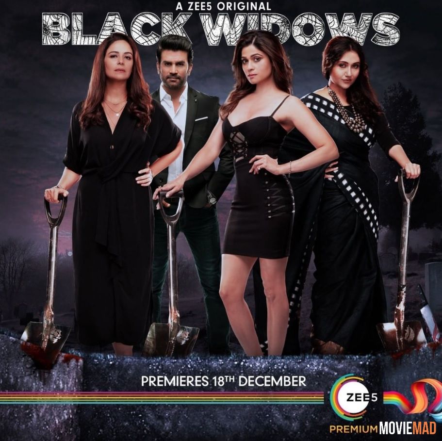 Black Widows S01 2020 Hindi Complete Zee5 Web Series 720p 480p