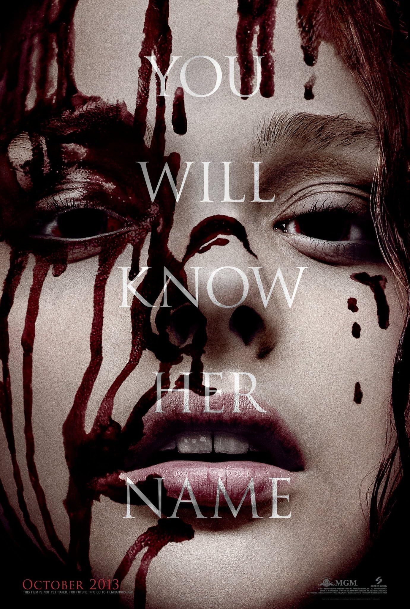 Carrie (2013) Hindi Dubbed ORG BluRay Full Movie 720p 480p
