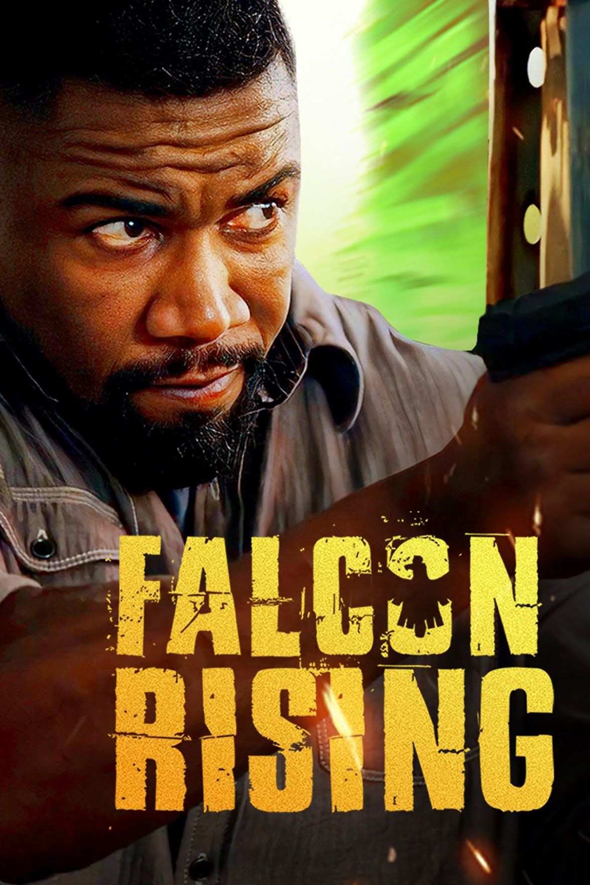 Falcon Rising (2014) Hindi Dubbed ORG BluRay Full Movie 720p 480p