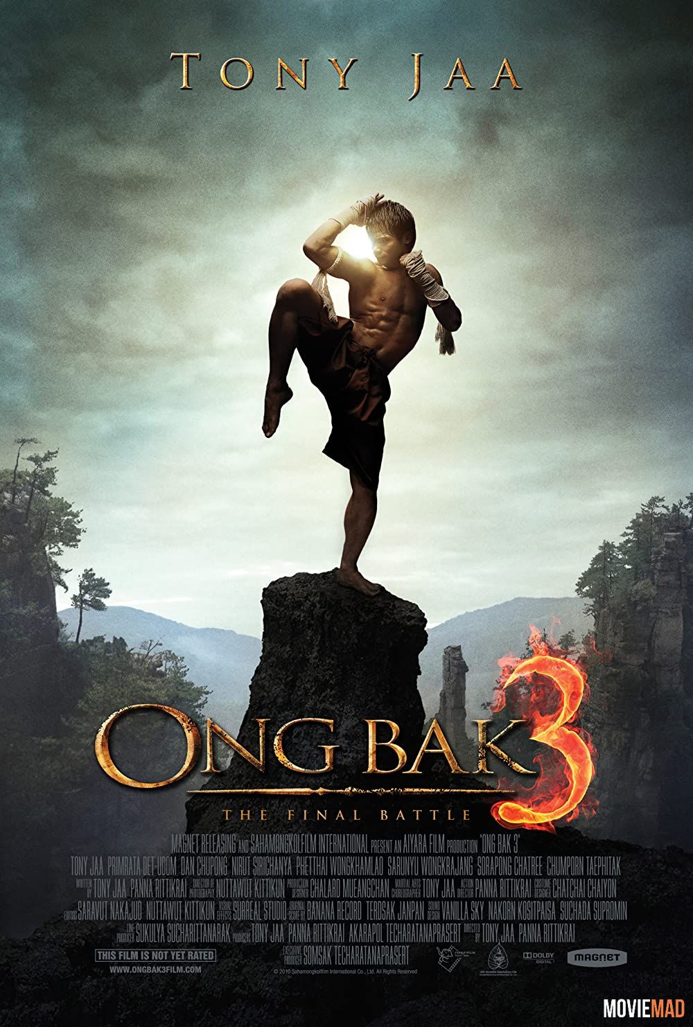 Ong Bak 3 The Finale 2010 Hindi Dubbed BluRay Full Movie 720p 480p