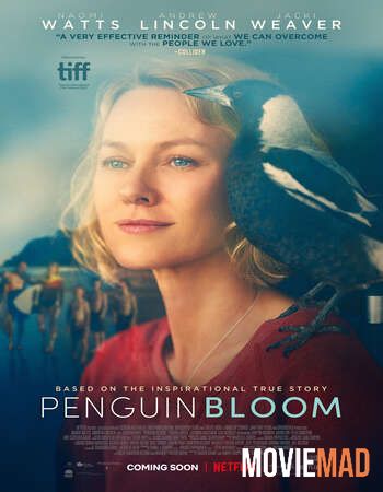 Penguin Bloom (2020) English 480p 720p WEB-DL
