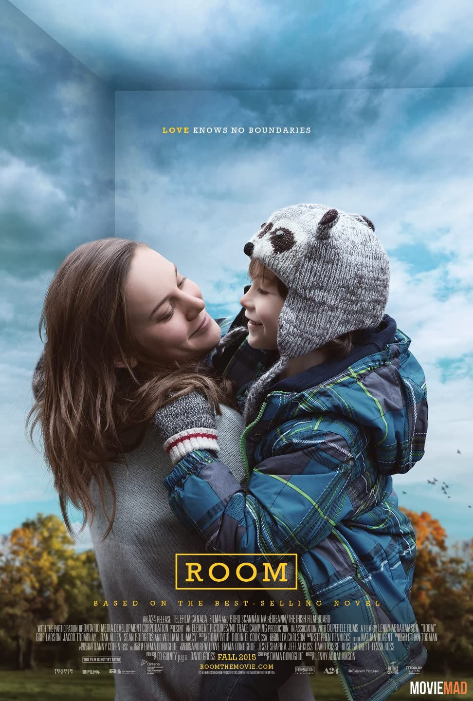 Room (2015) Hindi Dubbed ORG HDRip Full Movie 720p 480p