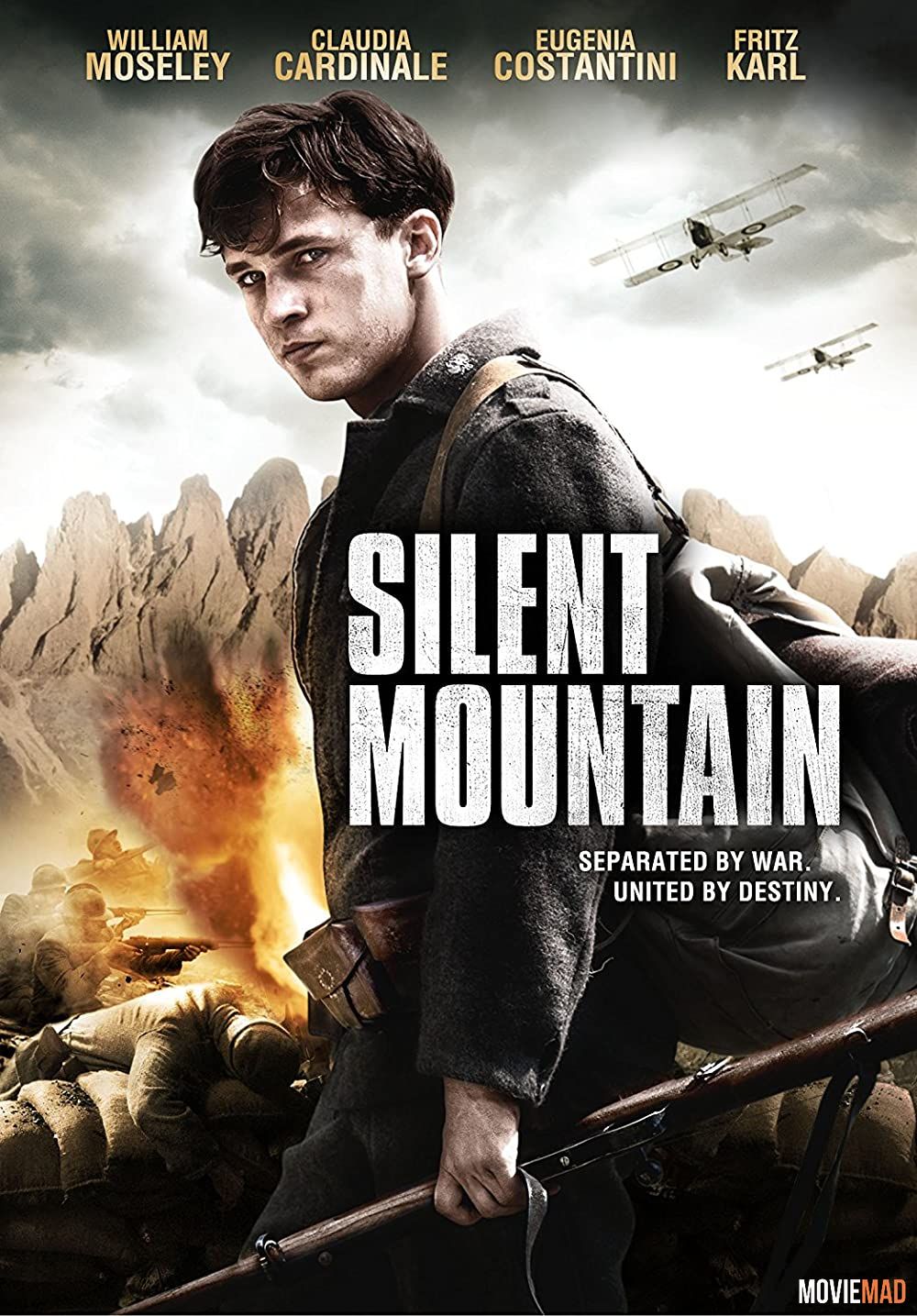 The Silent Mountain (2014) Hindi Dubbed ORG BluRay Full Movie 720p 480p