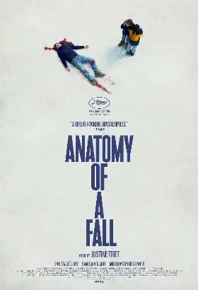 Anatomy of a Fall poster