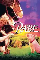 Babe poster