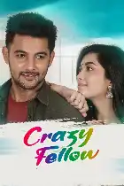 Crazy Fellow poster
