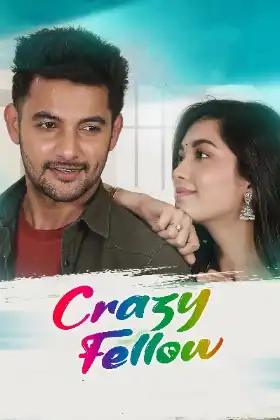 Crazy Fellow poster