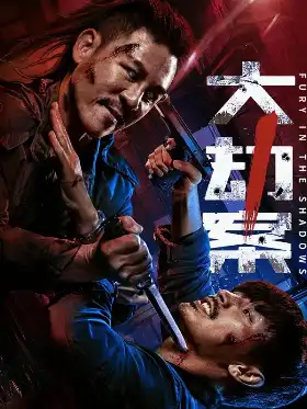 Fury in the Shadows poster