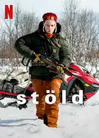 Stolen poster