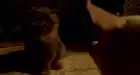 Babe (1995) Hindi screenshot 5