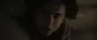 Dune: Part Two (2024) Hindi screenshot 4