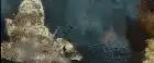 Hacksaw Ridge (2016) Hindi screenshot 5