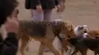 Heavy Petting (2007) Hindi screenshot 3