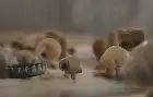 Marcel the Shell with Shoes On (2021) Hindi screenshot 6