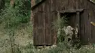 The Dog Bite Murders (2025) English screenshot 1