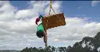 Woody Woodpecker Goes to Camp (2024) Hindi screenshot 6